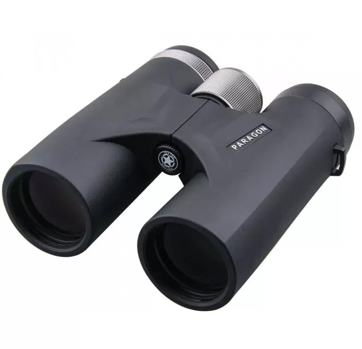 Бинокль Vector Paragon 8x42 BAK4 IPX6 (SCBO-03)