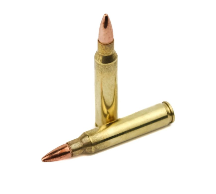 Патрон .223 Fiocchi FMJ 62гр.(50)/1шт. (1)