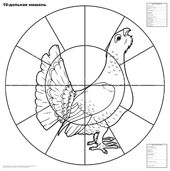 Мишень 16-дольная для пристрелки дробовых ружей /16д/