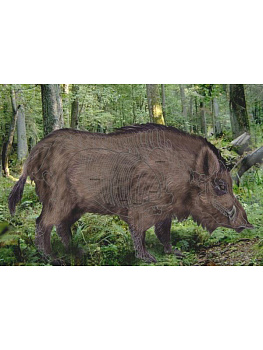 Мишень Кабан