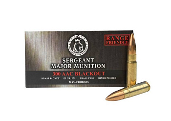 Патрон .300AAC Blackout ОБ 8,1/125 (ТПЗ) (20)/1шт