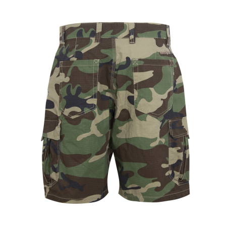 Шорты Remington Classic Summer Camo Shorts /RM2200-990/ (1)
